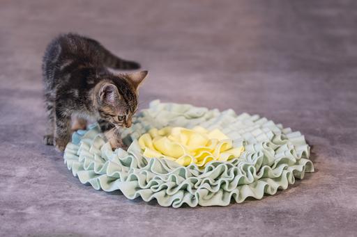 Immagine prodotto Beeztees Bz Gattino Flowi Snapmat