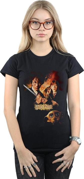 Actual product image Womens/Ladies Chamber Of Secrets Poster Cotton T-Shirt (XXL)