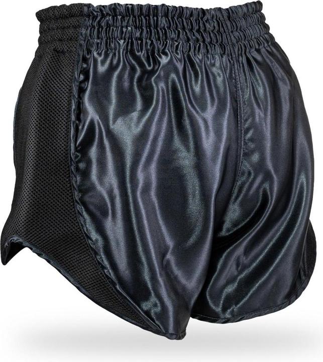 Actual product image King Pro Boxing thai boxing shorts retro mesh 1 (L)