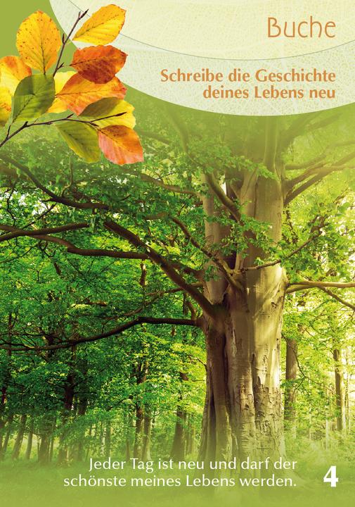 Image du produit Berk Arbres compagnons - cartes oracle