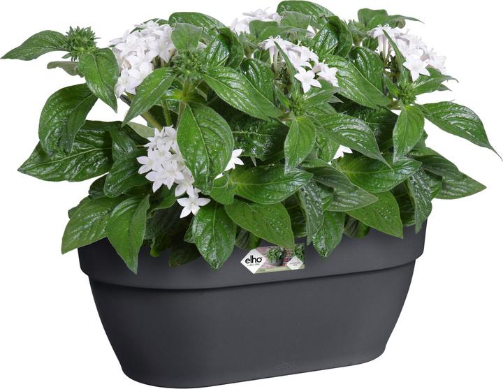 Image du produit Elho Vibia Campana Wandampel (35 cm)