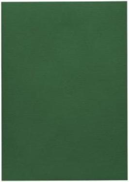 Produktbild Artoz 1001 Karten r.green (A4, 220 g/m², 5 x)
