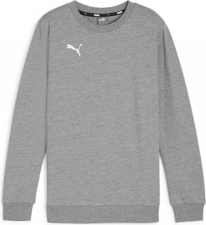 Actual product image Puma teamGOAL Casuals Crew Neck Sweat Jr (140)