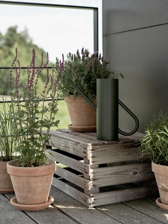 Immagine prodotto Stelton Fioritura (2 l)