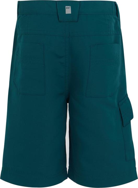 Image du produit Regatta - Short SORCER - Unisexe (104)
