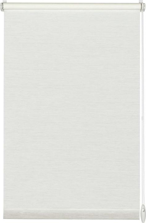Image du produit Gardinia Nature (75 x 150 cm)