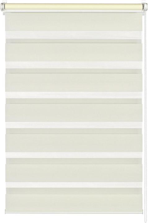 Immagine prodotto Gardinia Tenda a doppio rullo Easyfix (100 x 150 cm)