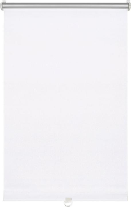 Actual product image Gardinia Soft roller blind (75 x 150 cm)