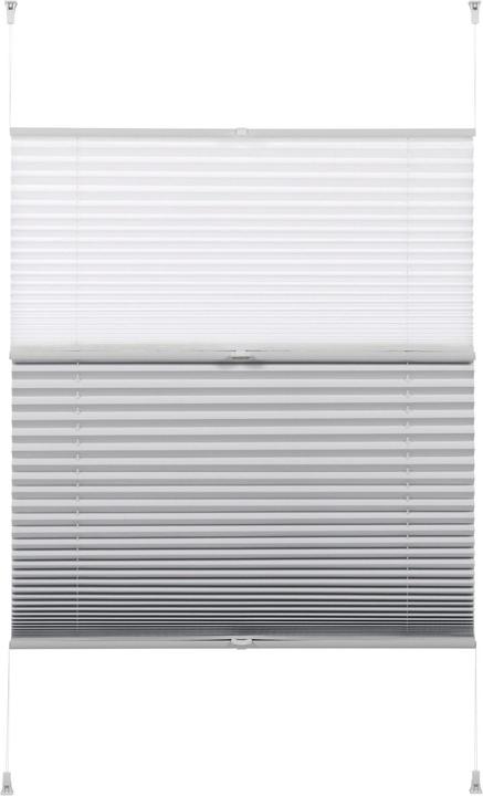 Actual product image Gardinia Day + Night (70 x 130 cm)