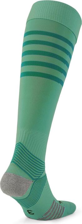 Actual product image Puma teamFINAL Socks (39 - 42)