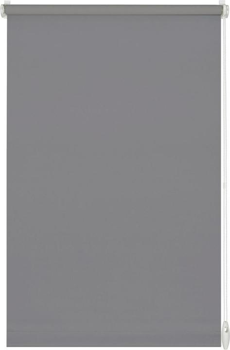 Stone grey