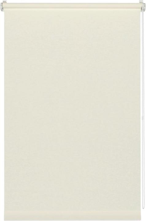 Image du produit Gardinia Lumière du jour (75 x 150 cm)