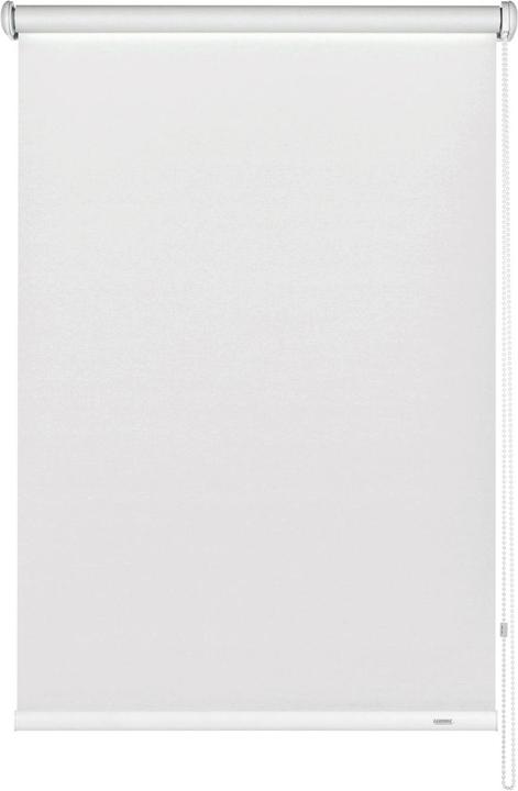 Seitenzug-Rollo (82 x 230 cm)