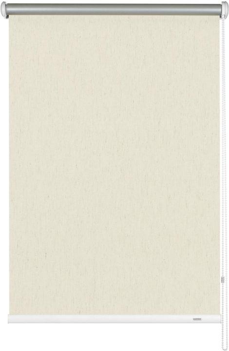 494 Struktur Natur