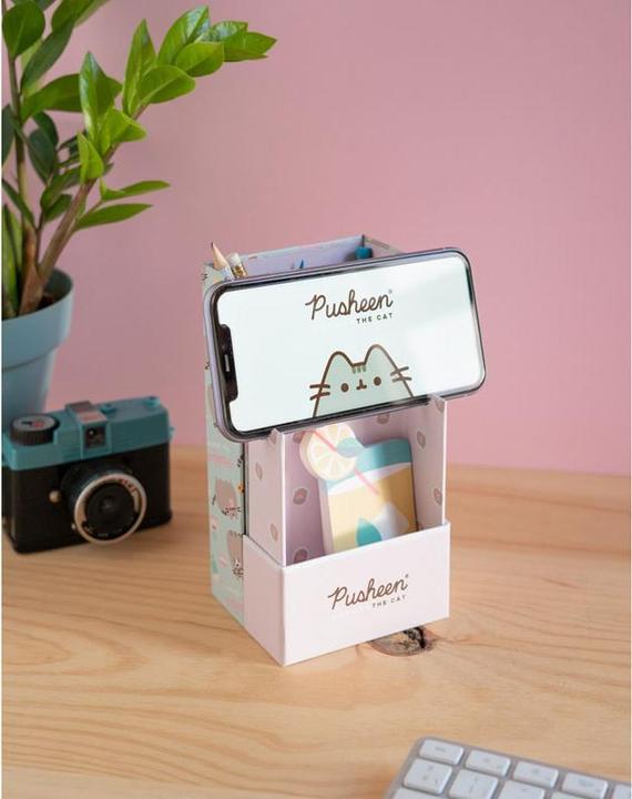 Actual product image Pusheen Rose pencil case