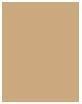 Actual product image Dermacol Infinity Make-Up & Corrector (03 Sand)