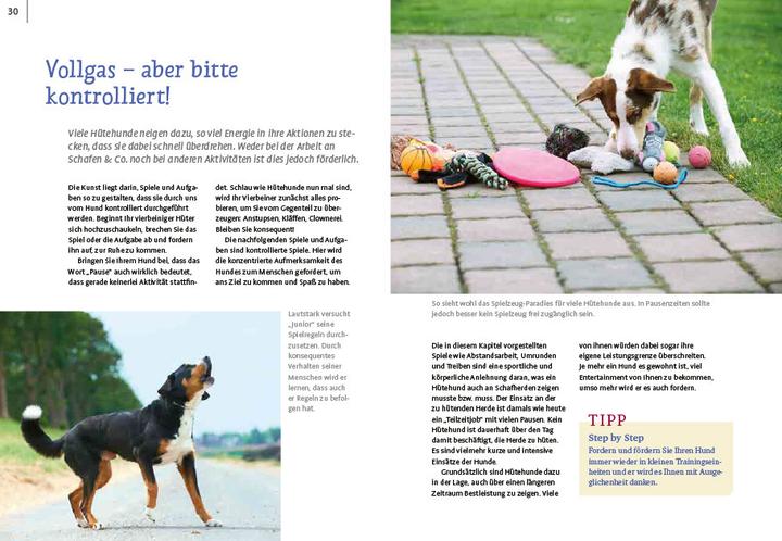 Actual product image Spiele und Action für ausgeglichene Hütehunde (German, Marion Albers, 2023)