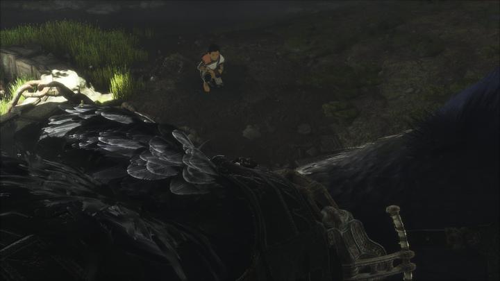 Immagine prodotto Sony L'ultimo guardiano (PS4, Multilingue)