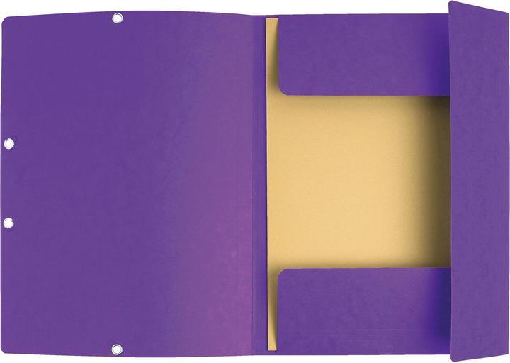 Actual product image Exacompta Folder (A4, 1 x)