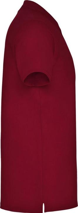 Actual product image Alpinia Mens Star Short-Sleeved Polo Shirt (3XL)