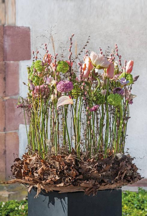 Image du produit Opiflor Steckschaumkranz Ringo 40 cm