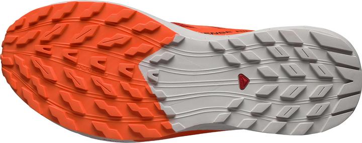 Produktbild Salomon Sense Ride 5 (46 2/3)