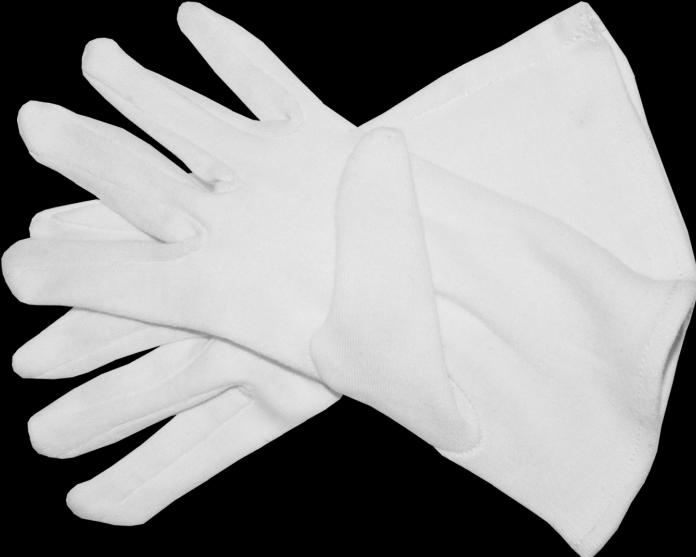 Image du produit Gant en coton blanc (paire) taille M (8), longueur 24 cm (M)