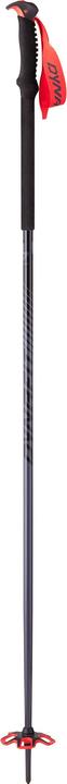 Image du produit Dynafit Bâtons de ski Tour Pole (145 cm)