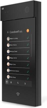 Actual product image 2N IP Style main unit with