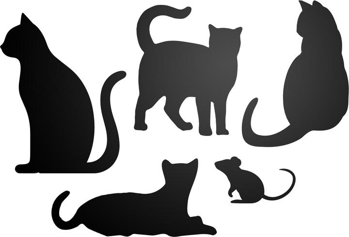 Immagine prodotto Trendform Selbstklebende Haftfläche ELEMENT FLEX CAT (Bacheca)