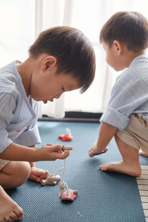 Immagine prodotto Plantoys Gioco di pesca (Inglese, Tedesco, Francese, Italiano, Svizzero-tedesco)