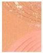 Immagine prodotto Sisley Fard illuminante (L'Orchidea)