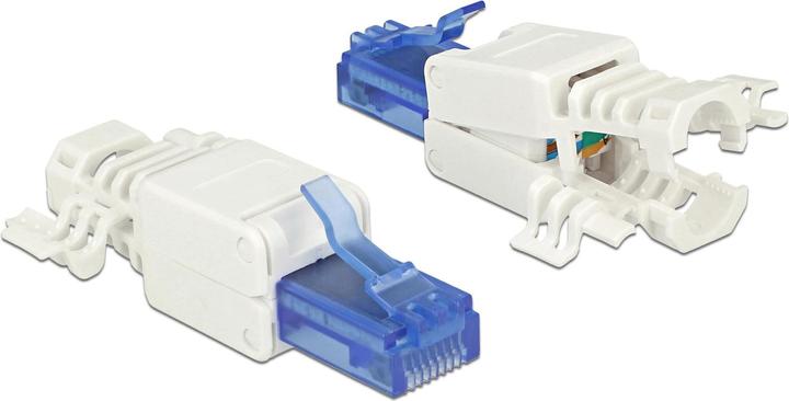 Delock Spina RJ45, UTP, Cat.6A, 2 pezzi (Connettore del cavo di rete)
