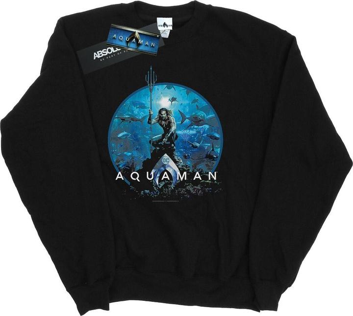 Image du produit - Sweat AQUAMAN CIRCLE POSTER - Garçon (140, 146)