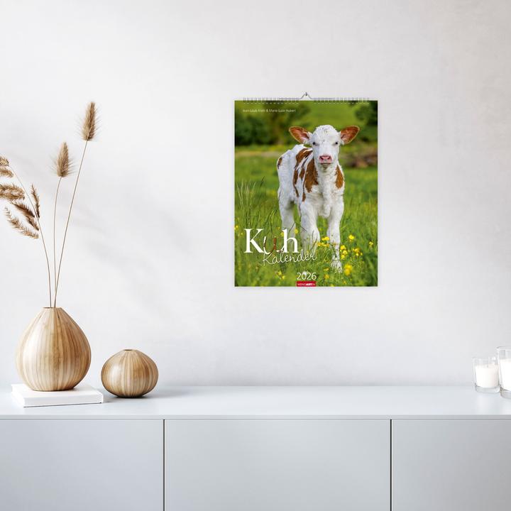 Produktbild Kuh Kalender 2026 (30 x 39 cm, Deutsch)