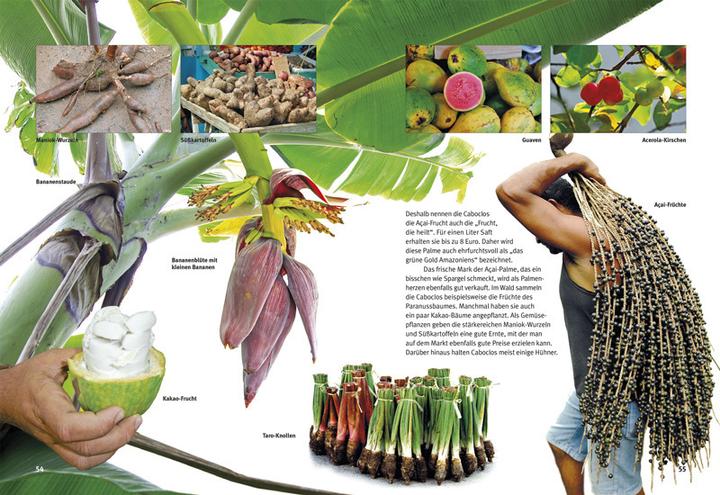Actual product image Entdecke den Amazonas-Regenwald (German, Lothar Prof. Dr Staeck, 2016)