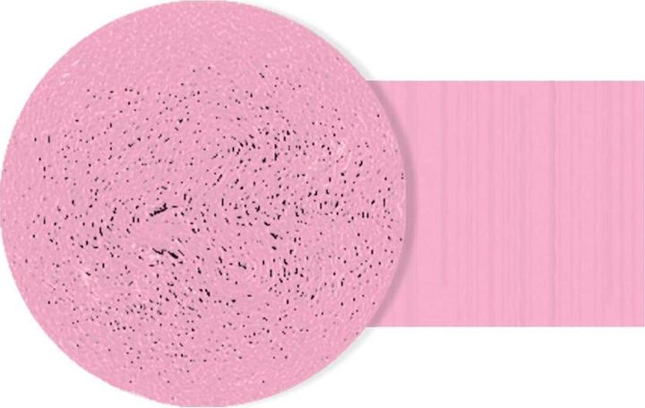 Actual product image Amscan Crepe Paper Roll Streamers