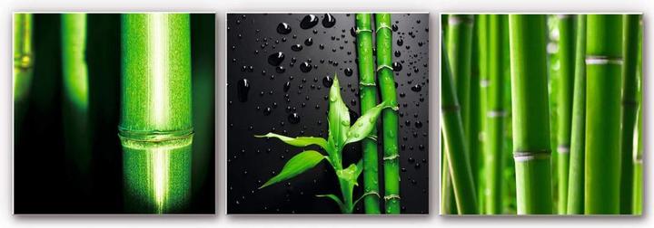 Produktbild Trenddeko Bambus-Set (3-teilig) (30 x 30 cm)