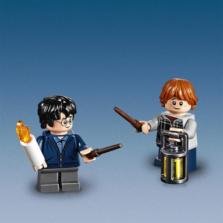 Actual product image LEGO Aragog's Hiding Place (75950, LEGO Harry Potter)