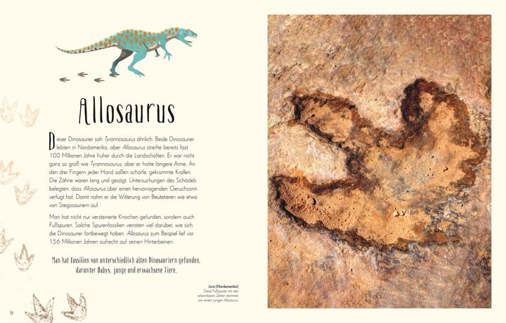 Produktbild Wundervolle Welt der Dinosaurier und der Urzeit (Deutsch, Anusuya Chinsamy-Turan, 2022)