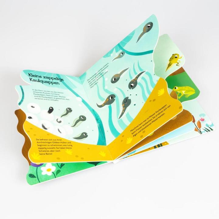 Image du produit Du petit têtard à la grenouille (Allemand)