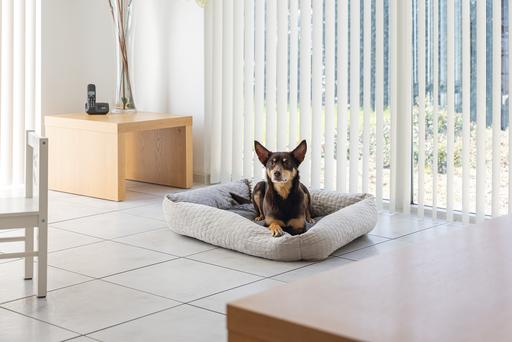 Actual product image Karlie Lounger bed Velvet (Dog)