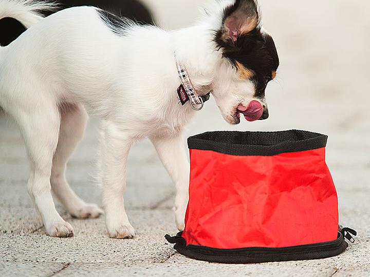 Immagine prodotto Pearl Set di 2 ciotole per cani da viaggio ultra compatte e pieghevoli, 19x12 cm
