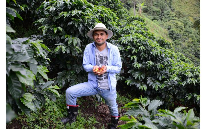Immagine prodotto Vicafe Los Nogales (350 g, Tostatura media)