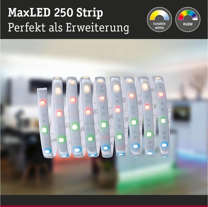 Produktbild Paulmann MaxLED (Mehrfarbig, 250 cm, Indoor)