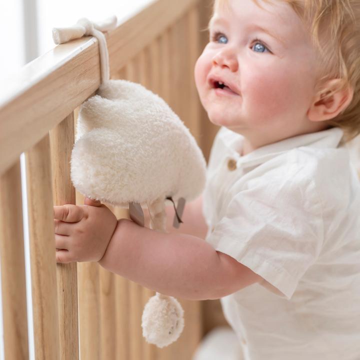 Actual product image Nattou Teddy cloud