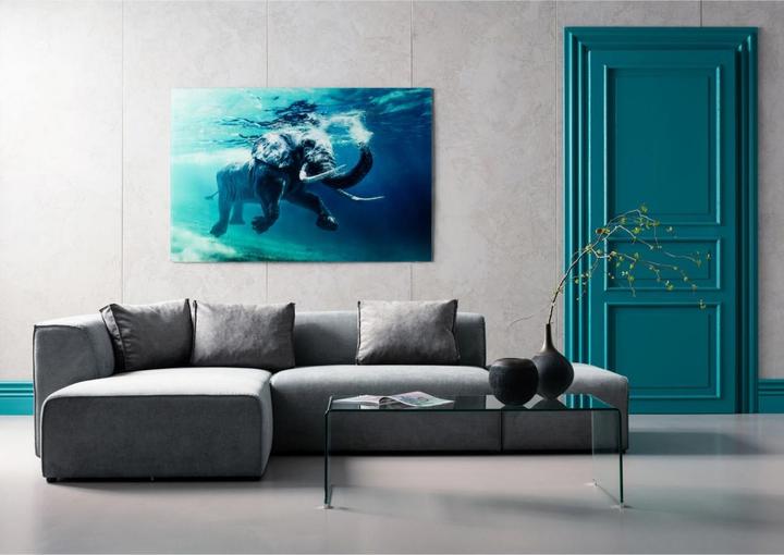 Produktbild Kare Design Bild Glas Swimming Elephant 180x120cm (120 x 180 cm)