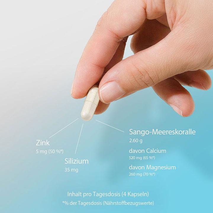 Produktbild Effective Nature Sango Koralle mit Zink und Silizium (120 Stück, Kapseln, 120 g)