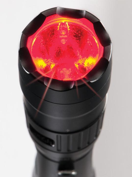 Image du produit Peli Lampe de poche 7600 (15.70 cm, 944 lm)