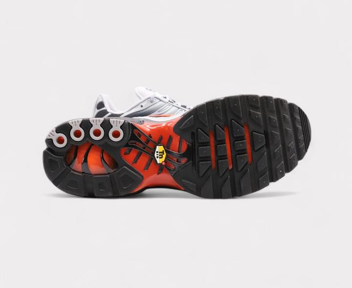 Actual product image Nike Air Max Plus (40)